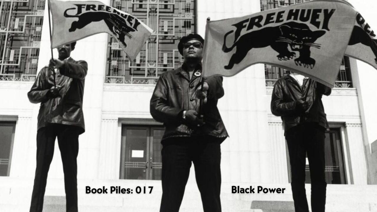 Surviving is Criminal: The Black Panther Party and Revolution